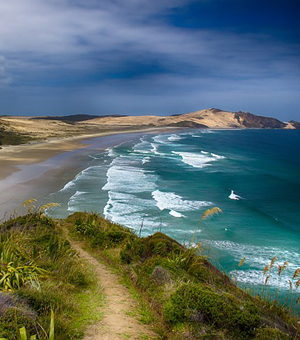 ip攻击器网页版